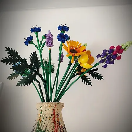 Apartment Vista Navodari